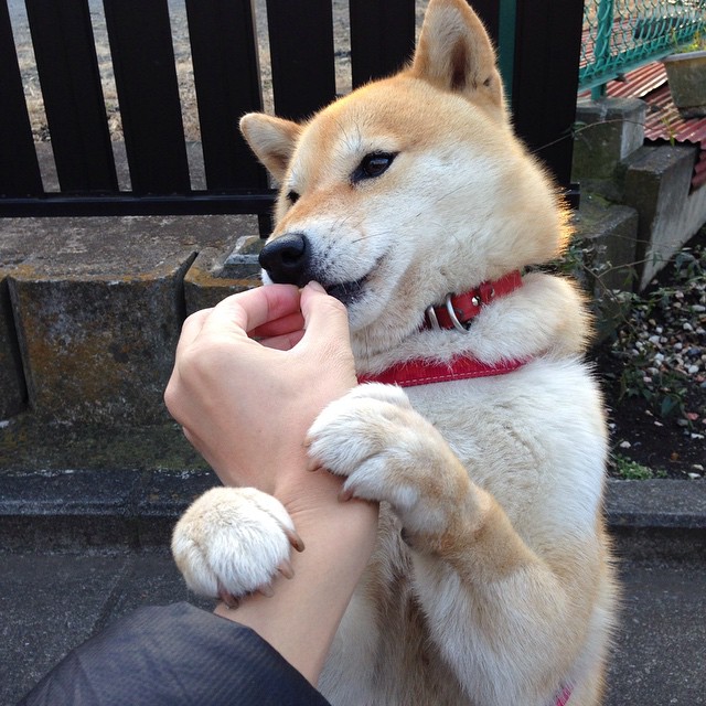 “西甲劲旅奋勇追赶,争夺榜首之战精彩纷呈”,西甲经典比赛