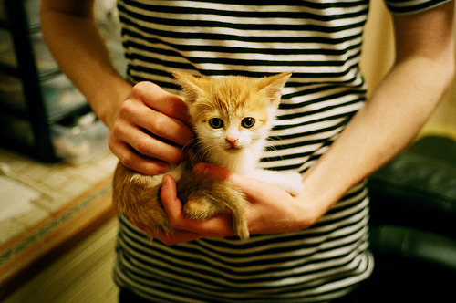 乡村滑翔伞飞行节，天空中的速度与自由，滑翔伞飞行视频(上)